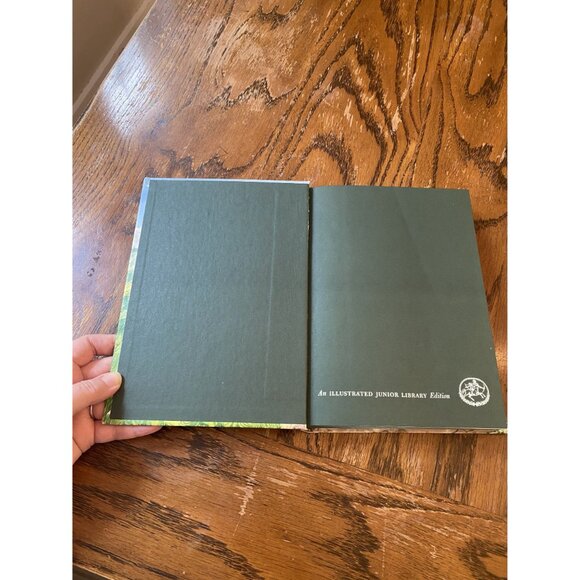 Heidi By Johanna Spyri Illustrated Junior Library Edition 1982 Hardcover - Picture 4 of 11